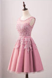 A-Line Crew Knee-Length Tulle Homecoming Dress With Appliques TR0211 - Tirdress