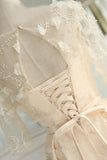 A-Line Half Sleeves Tulle Homecoming Dress With Appliques TR0204 - Tirdress