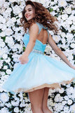 Cute A-line Blue Short Prom Dress Tulle Homecoming Dress PG150 - Tirdress