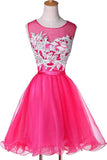 New Appliqued A-line Tulle Scoop Short Homecoming Dresses See Through TP0015 - Tirdress