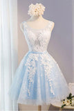 Scoop Neck Short Tulle Homecoming Dress With Appliques Lace  PG137
