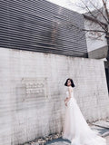 Sweetheart A-line Lace Tulle Wedding Dresses With Court Train WD091 - Tirdress