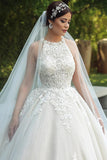 Ball Gown Hater Neckline Lace Appliques Princess Wedding Dress TD0023-Tirdress