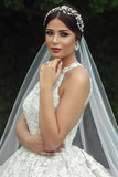 Ball Gown Hater Neckline Lace Appliques Princess Wedding Dress TD0023-Tirdress