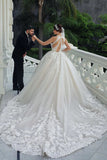 Ball Gown Hater Neckline Lace Appliques Princess Wedding Dress TD0023-Tirdress