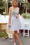 A-Line V-Neck Short Lilac Tulle Homecoming Dress with Lace PG194
