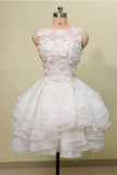 Ball Gown Jewel Knee Length Lace Organza Homecoming Dress With Layers TR0137