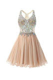 Chiffon Open Back Homecoming Dresses Short Prom Dresses TR009