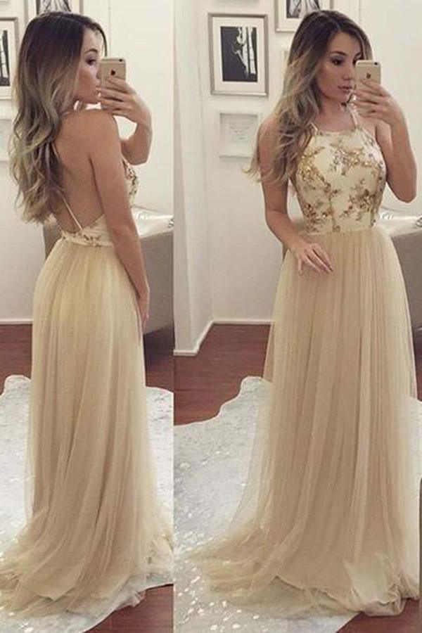 Elegant Tulle Open Back Long Prom Dresses Party Dresses PG389 - Tirdress