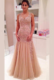 Elegant V-Neck Layers Tulle Prom Dress Sheer Back With Appliques TP0134