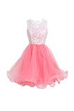 High Quality Organza Short Party Dresses Homecoming Dresses PG072