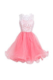 High Quality Organza Short Party Dresses Homecoming Dresses PG072 - Tirdress