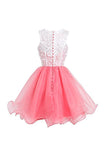 High Quality Organza Short Party Dresses Homecoming Dresses PG072 - Tirdress