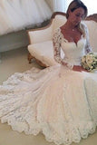 Long Sleeves Appliques Lace Wedding Dresses Chapel Bridal Gown TN0054