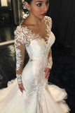 Long Sleeves Court Train Ivory Wedding Dress With Lace Appliques WD037 - Tirdress