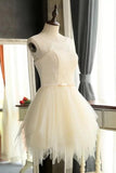 Mini Charming Tulle Short Prom Dresses Homecoming Dresses PG127 - Tirdress