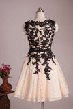 Modern A-line Jewel Knee Length Lace Homecoming Dress With Appliques TR0136 - Tirdress