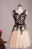 Modern A-line Jewel Knee Length Lace Homecoming Dress With Appliques TR0136