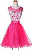 New Appliqued A-line Tulle Scoop Short Homecoming Dresses See Through TP0015 - Tirdress