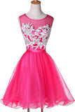 New Appliqued A-line Tulle Scoop Short Homecoming Dresses See Through TP0015