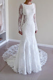 Scoop Open Back Sheath Lace Mermaid Wedding Dress With Long Sleeves TN0005