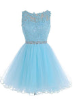 Scoop Short Blue Zipper-up Tulle Homecoming Dress PG013