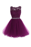 Scoop Short Grape Zipper-up Tulle Homecoming Dress PG095 - Tirdress