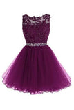 Scoop Short Grape Zipper-up Tulle Homecoming Dresses TR0017 - Tirdress