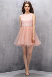 Scoop short Organza Homecoming Dress with Lace PG003