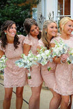 Sheath Crew Short Cap Sleeves Pink Lace Bridesmaid Dress TY0024 - Tirdress