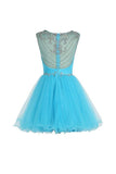 Short Homecoming Dress Scoop Tulle Prom Dress PG061 - Tirdress