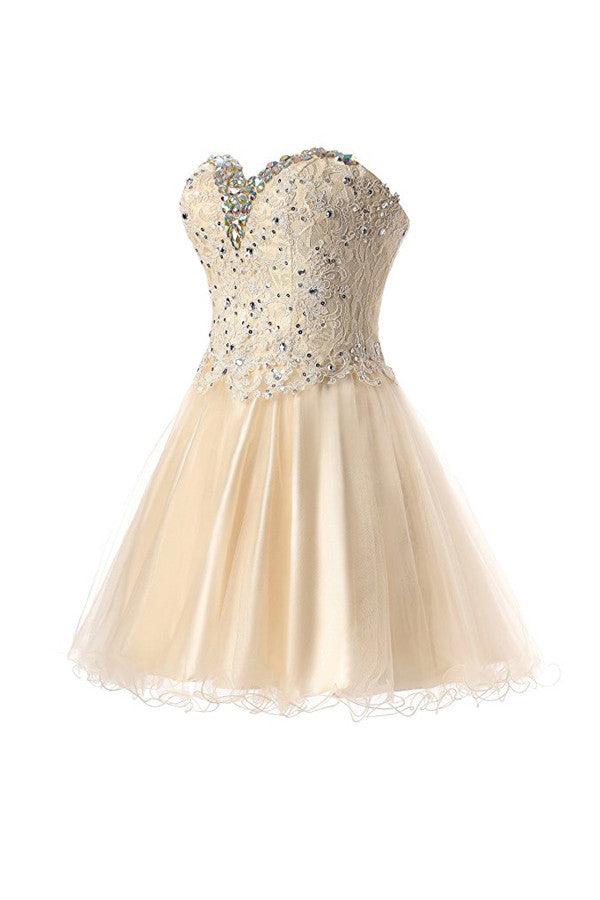 Short Lace Tulle Prom Dresses Homecoming Dresses Party Dresses TR0010 - Tirdress