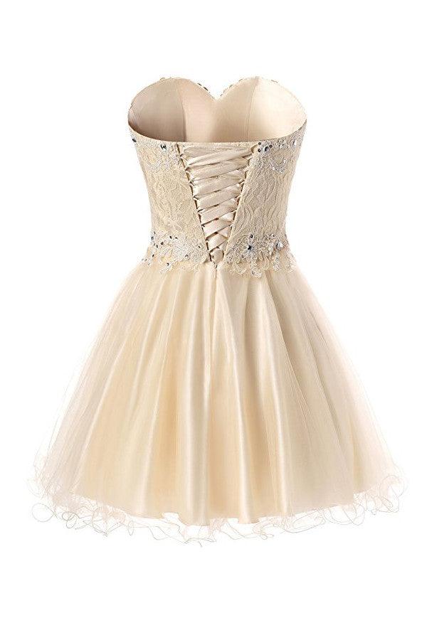 Short Lace Tulle Prom Dresses Homecoming Dresses Party Dresses TR0010 - Tirdress