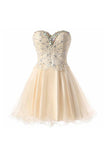 Short Lace Tulle Prom Dresses Homecoming Dresses Party Dresses  TR0010