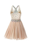 Short/Mini Halter A Line/Princess Homecoming Dresses Beaded PG038 - Tirdress