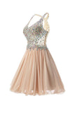 Short/Mini Halter A Line/Princess Homecoming Dresses Beaded PG038 - Tirdress
