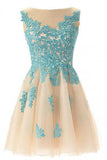Sleeveless Open Back Light Homecoming Dress With Blue Appliques TP0004