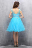Strap Organza Homecoming Dress with Appliques Sequins PG004 - Tirdress