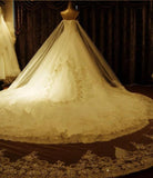 Sweetheart Ball Gown Watteau Train Wedding Dress with Appliques Beading WD022 - Tirdress