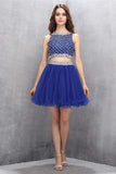 Two Piece Organza Royal Blue Homecoming Dress with Beading PG006