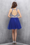 Two Piece Tulle Royal Blue Homecoming Dresses Prom Dresses PG032 - Tirdress